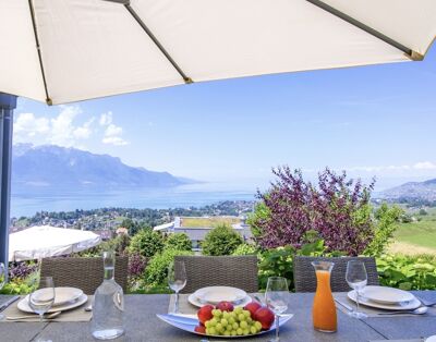 Panoramic summer dream for families in Montreux